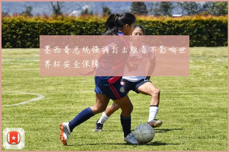 墨西哥总统强调打击贩毒不影响世界杯安全保障